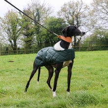 Load image into Gallery viewer, Quilted Hound Coat, dog coat, hounds, sighthounds, long dogs, greyhounds,