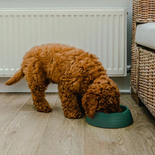 Load image into Gallery viewer, Recycled Ocean Plastic Dog Bowl Coral Pink