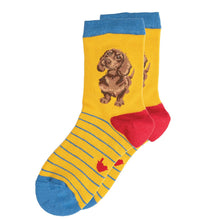 Load image into Gallery viewer, Little One Dachshund Children&#39;s Socks