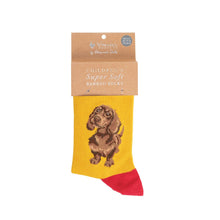 Load image into Gallery viewer, Little One Dachshund Children&#39;s Socks