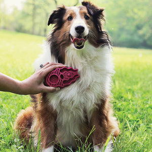 KONG Zoom Groom Dog Brush Raspberry