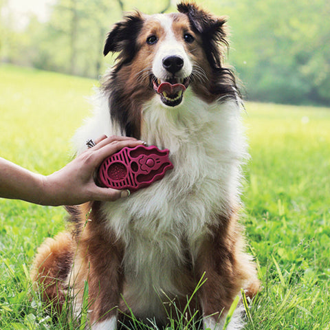 KONG Zoom Groom Dog Brush Raspberry