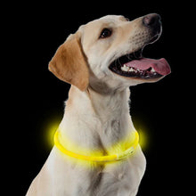 Load image into Gallery viewer, LED Night Safety Flashing Dog Collar Yellow