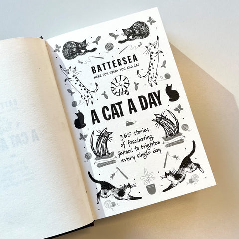 A Cat a Day: 365 Stories Book, book, story book, battersea book, christmas present, cat lover, cat book