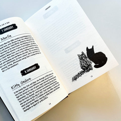 A Cat a Day: 365 Stories Book, book, story book, battersea book, christmas present, cat lover, cat book