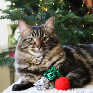 Christmas Balls Cat Toy Stocking