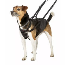 Load image into Gallery viewer, Halti No Pull Dog Harness Black