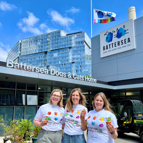 Battersea Pride T-Shirt, pride, pride t-shirt, here for every dog and cat and human, battersea