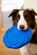 Load image into Gallery viewer, Battersea Foam Flyer Dog Toy, frisbee, dog toy, battersea toy, rosewoodXbattersea, battersea, dog stimulation, dog enrichment