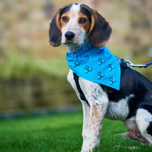 Load image into Gallery viewer, Battersea Wear Blue For Rescue Dog Bandana, Battersea dog bandana, WBFR dog bandana, Wear Blue for Rescue, Battersea, WBFR, Battersea branded, Battersea merchandise, Supporting Rescue, Rescue is my favourite breed, wearblueforrescue, 