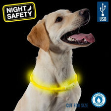 Load image into Gallery viewer, LED Flashing Dog Collar