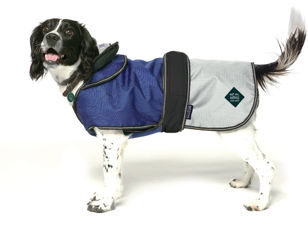 All in one dog clearance coats