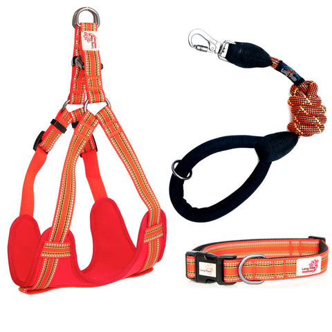 Comfort Dog Collar Orange