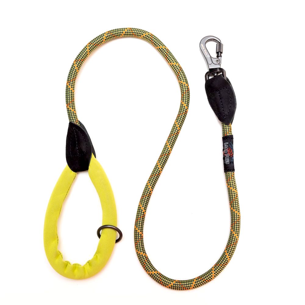 Green rope shop dog lead