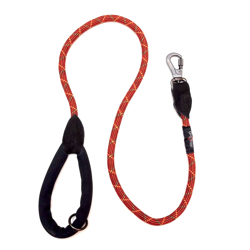 Long rope dog best sale leads