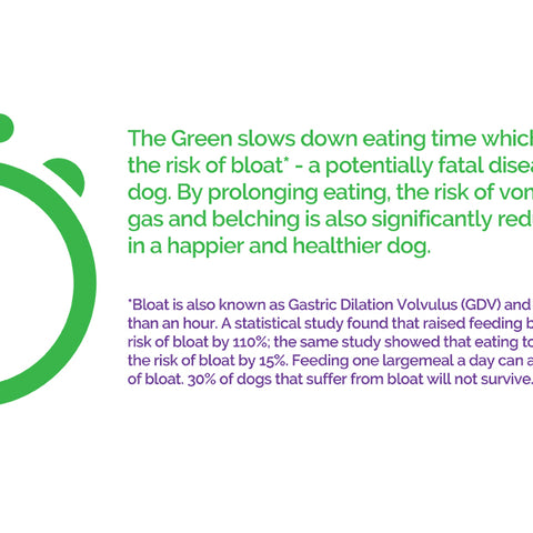 Green Dog Slow Feeder