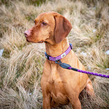Load image into Gallery viewer, Comfort Rope Dog Lead Purple