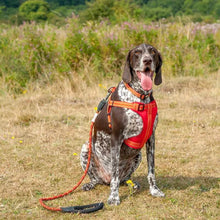 Load image into Gallery viewer, Comfort Dog Harness Orange