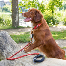Load image into Gallery viewer, Comfort Rope Dog Lead Orange