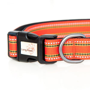 Comfort Dog Collar Orange