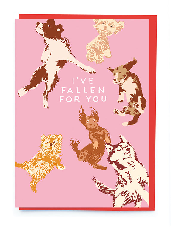 Valentine's Day Card - Dogs Falling