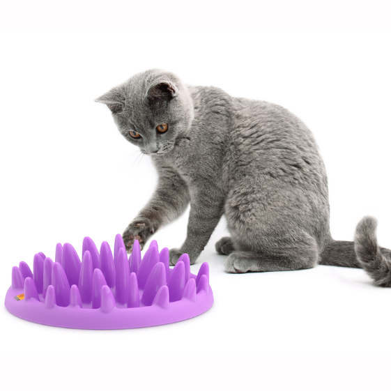Cat Interactive Slow Feeder, cat feeder, slow feeder, cat bowl, cat slow feeder