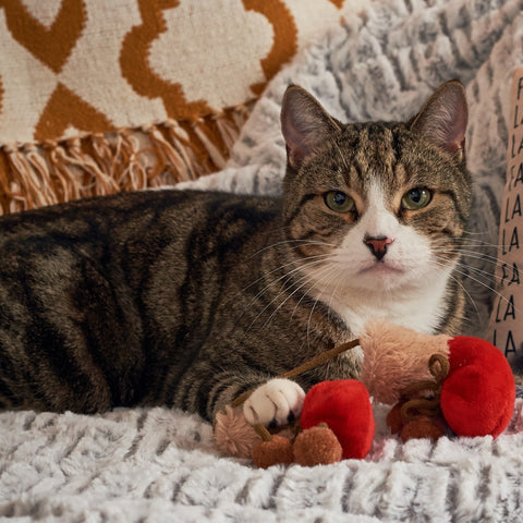 Catnip Christmas Booties Cat Toy